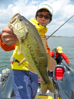 truth news ブログ写真 2013/04/27