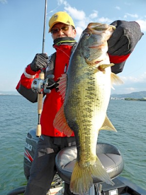 truth news ブログ写真 2013/04/27