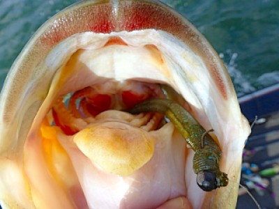 truth news ブログ写真 2013/04/27