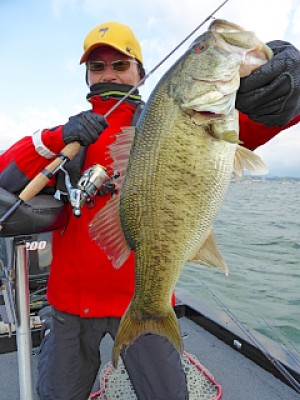 truth news ブログ写真 2013/04/27