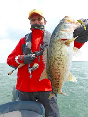 truth news ブログ写真 2013/04/27