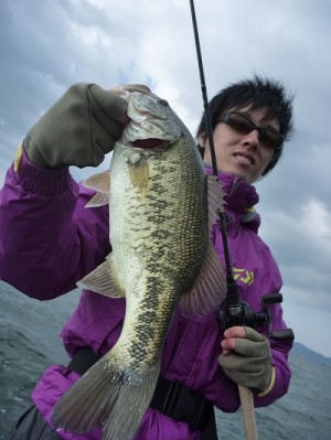 truth news ブログ写真 2013/04/28