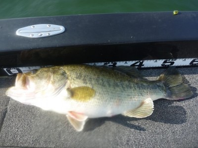 truth news ブログ写真 2013/05/12