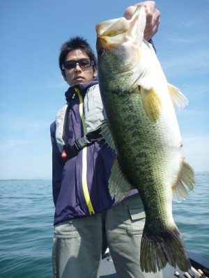 truth news ブログ写真 2013/05/12