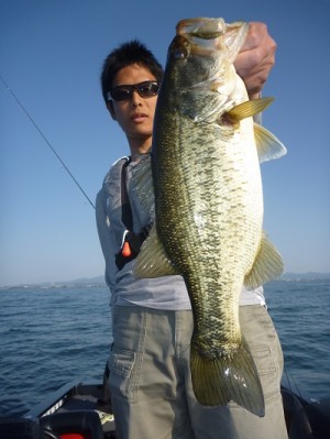 truth news ブログ写真 2013/05/12