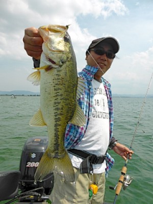 truth news ブログ写真 2013/05/16