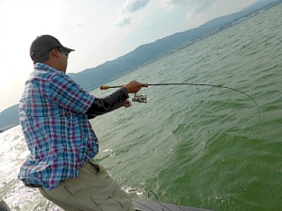 truth news ブログ写真 2013/05/16