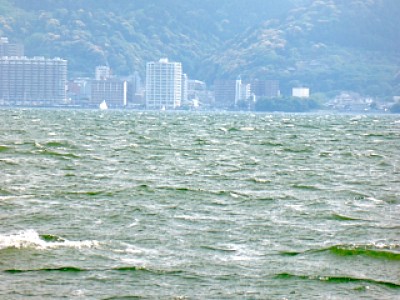 truth news ブログ写真 2013/05/16