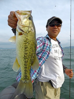 truth news ブログ写真 2013/05/16