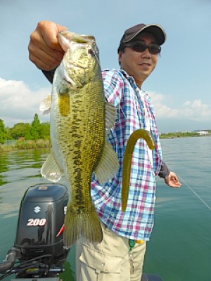 truth news ブログ写真 2013/05/16