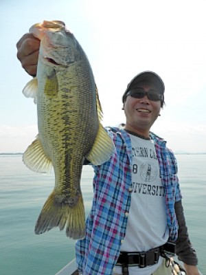 truth news ブログ写真 2013/05/16