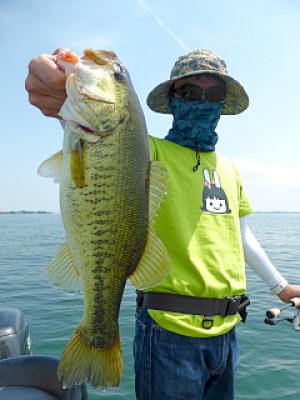 truth news ブログ写真 2013/05/16