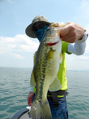 truth news ブログ写真 2013/05/16