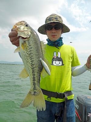 truth news ブログ写真 2013/05/16