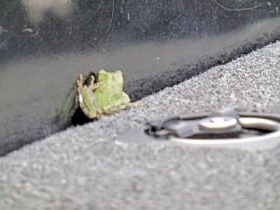 truth news ブログ写真 2013/05/16