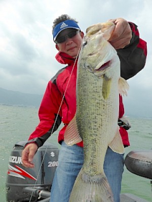 truth news ブログ写真 2013/05/16