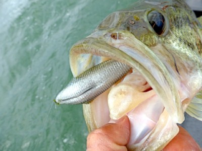 truth news ブログ写真 2013/05/16