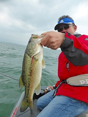 truth news ブログ写真 2013/05/16