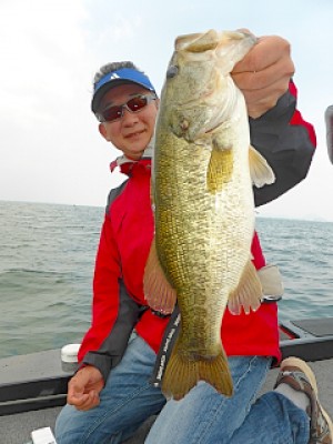 truth news ブログ写真 2013/05/16