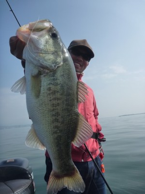 truth news ブログ写真 2013/05/18