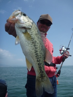 truth news ブログ写真 2013/05/18