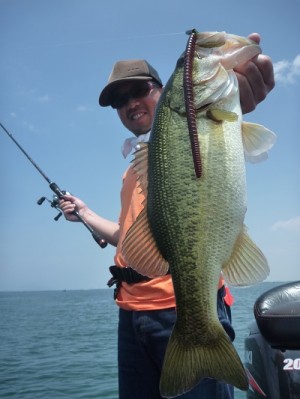 truth news ブログ写真 2013/05/18