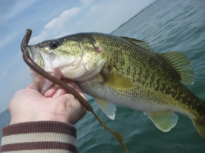 truth news ブログ写真 2013/05/18