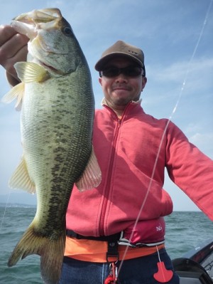 truth news ブログ写真 2013/05/18