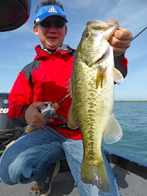 truth news ブログ写真 2013/05/18