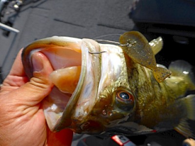 truth news ブログ写真 2013/05/18