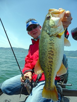 truth news ブログ写真 2013/05/18