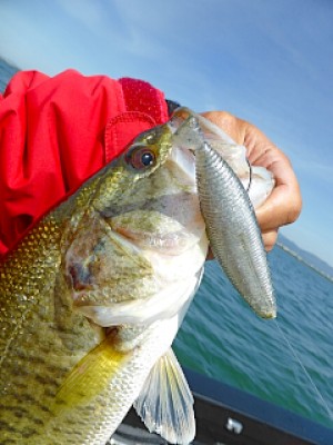 truth news ブログ写真 2013/05/18