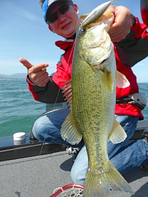 truth news ブログ写真 2013/05/18