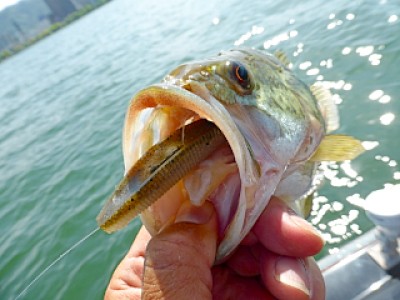 truth news ブログ写真 2013/05/18