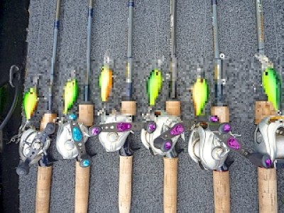 truth news ブログ写真 2013/05/19