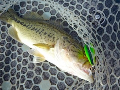 truth news ブログ写真 2013/05/19