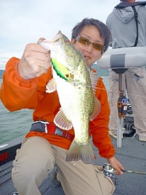 truth news ブログ写真 2013/05/19