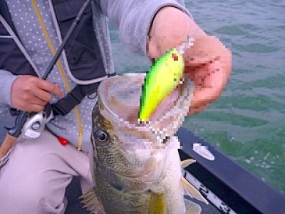 truth news ブログ写真 2013/05/19