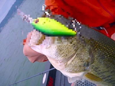 truth news ブログ写真 2013/05/19