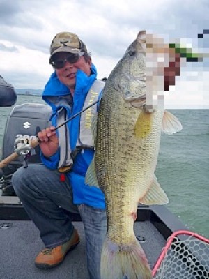 truth news ブログ写真 2013/05/19