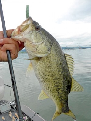 truth news ブログ写真 2013/05/20