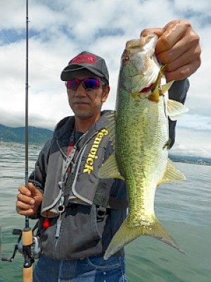 truth news ブログ写真 2013/05/20