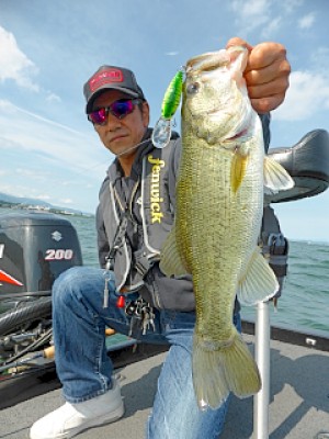 truth news ブログ写真 2013/05/20