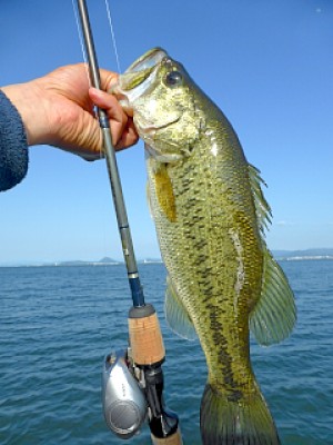 truth news ブログ写真 2013/05/20