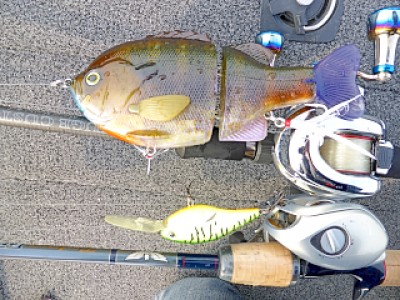 truth news ブログ写真 2013/05/21