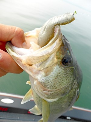 truth news ブログ写真 2013/05/21