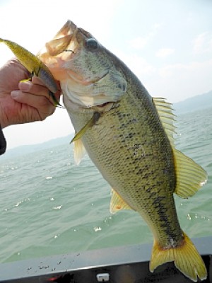 truth news ブログ写真 2013/05/21