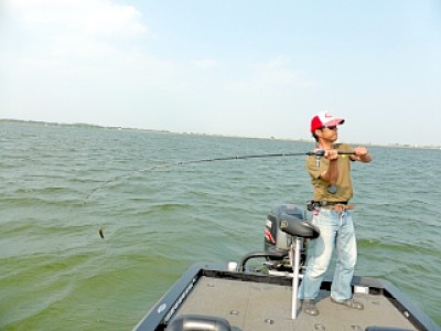 truth news ブログ写真 2013/05/21