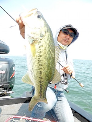 truth news ブログ写真 2013/05/22