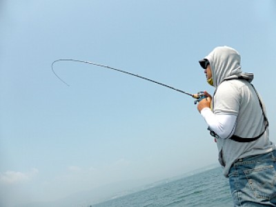 truth news ブログ写真 2013/05/22